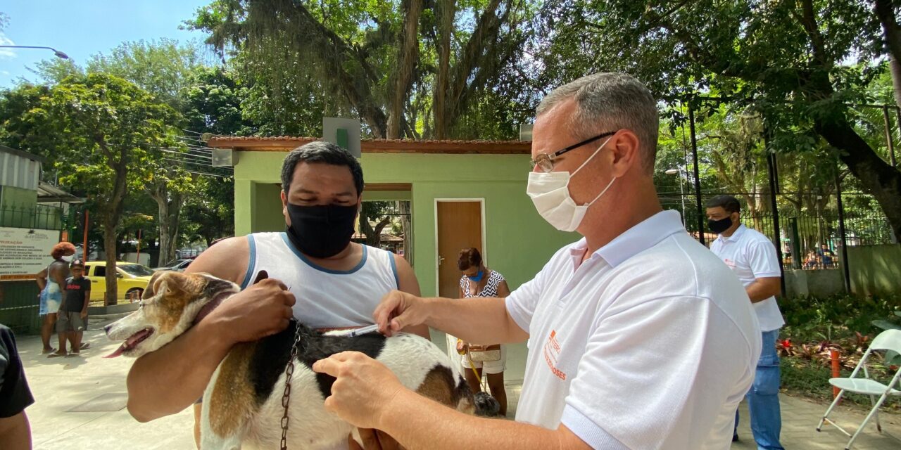 Vacinação antirrábica chega à Pendotiba neste sábado