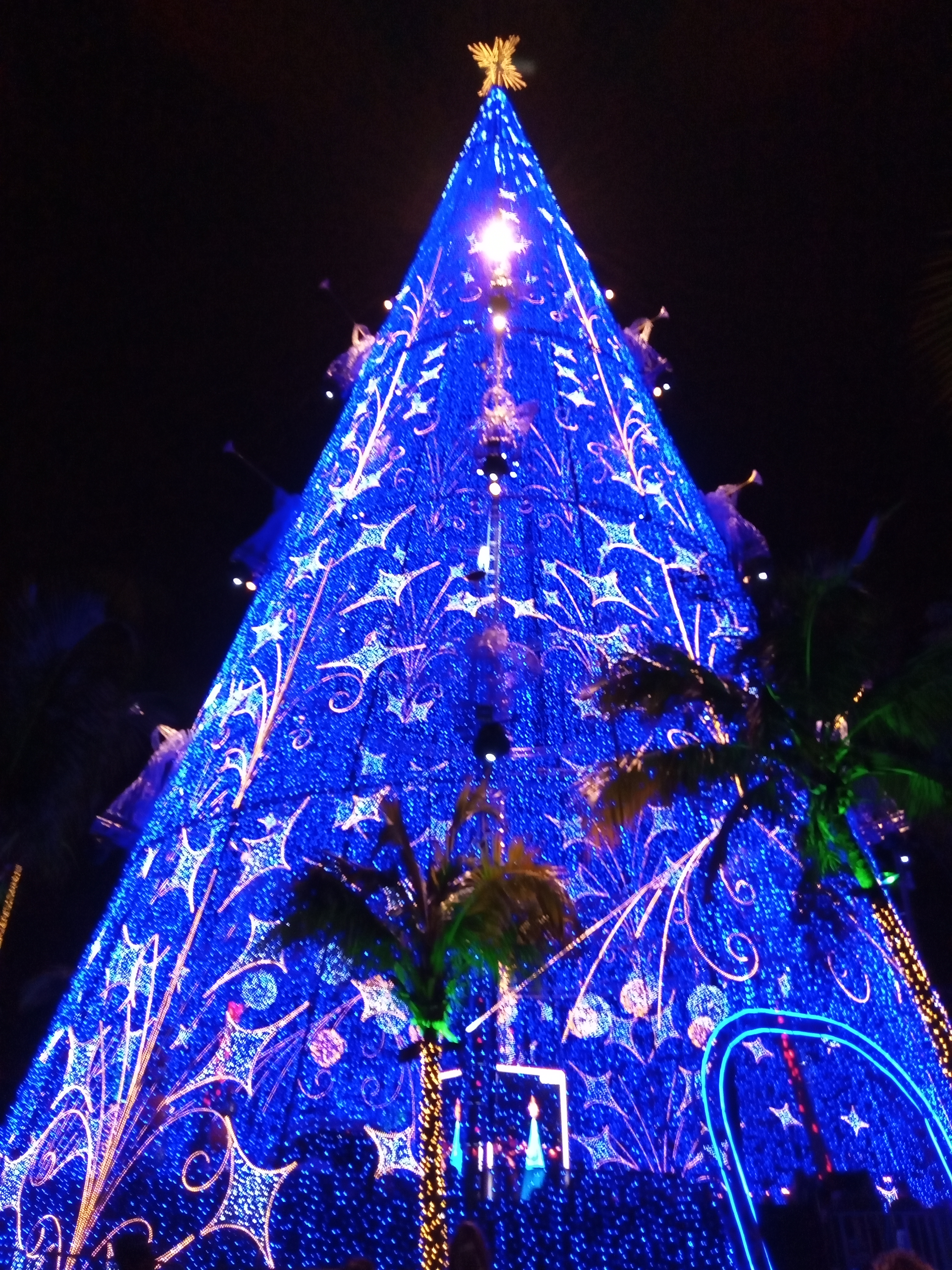 Natal Esperança começa com árvore iluminada