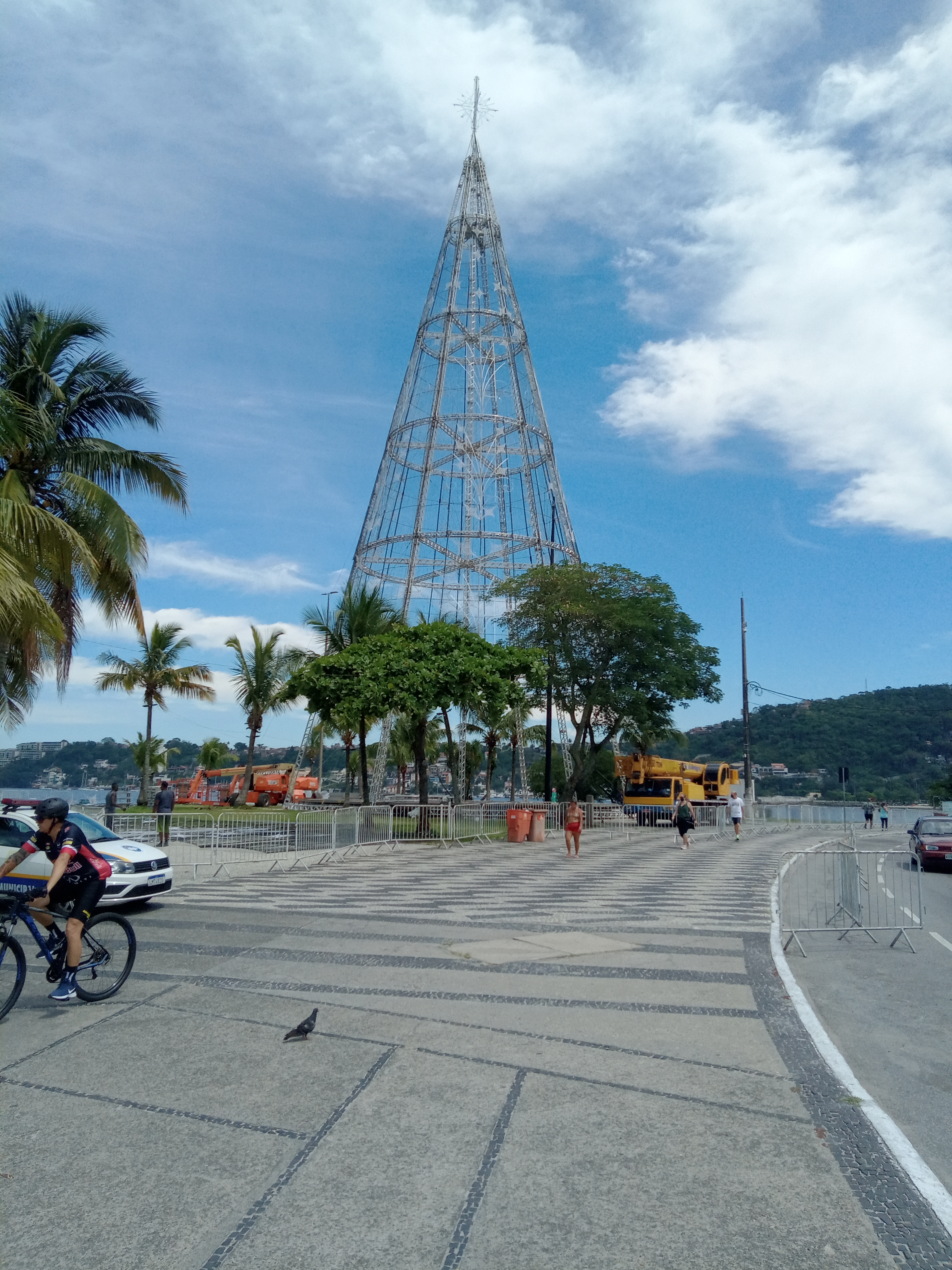 Árvore de Natal já está visível em São Francisco