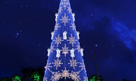 Niterói começa a se preparar para o Natal