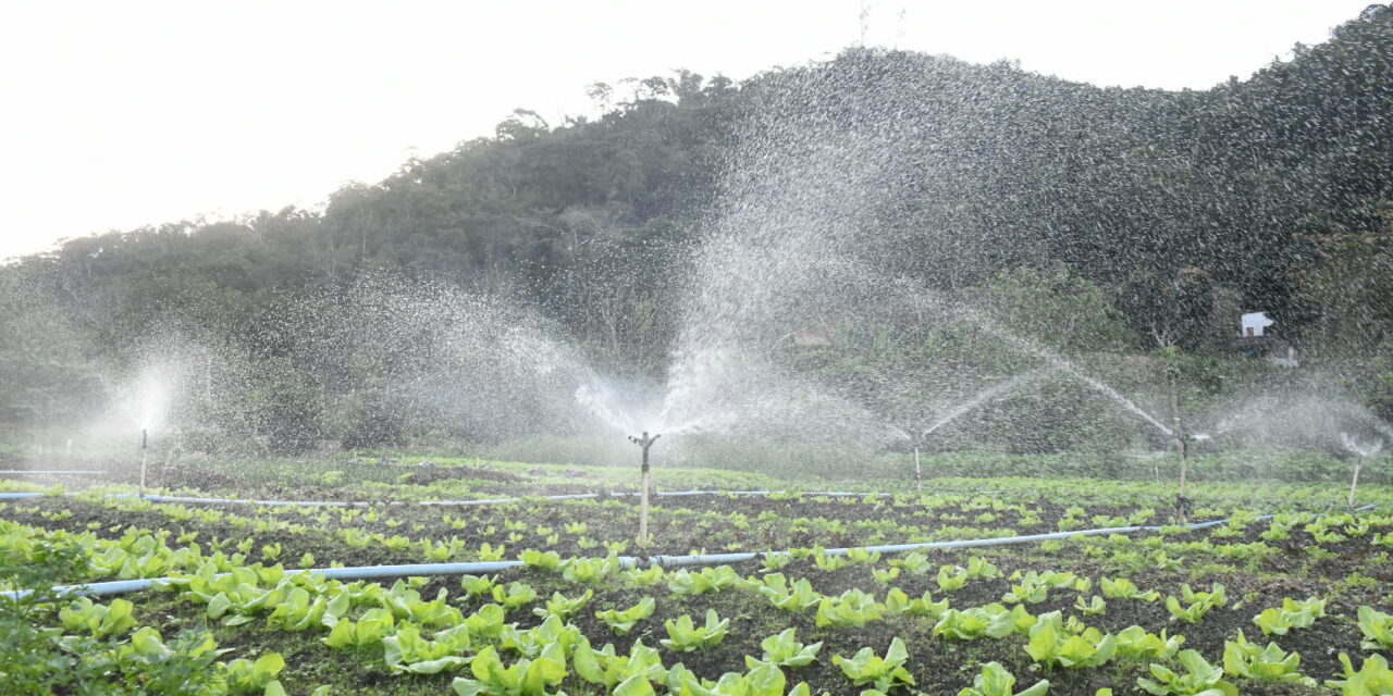 Secretaria de Meio Ambiente convoca produtores agroecológicos urbanos para cadastramento