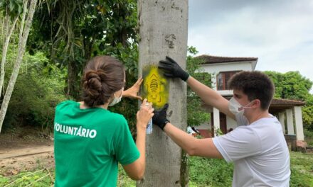 Implantação e manejo de trilhas fazem de Niterói referência em ecoturismo