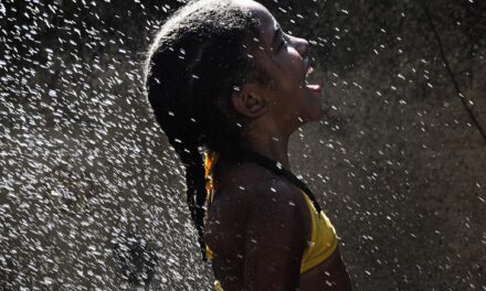 Mostra “Através do Olhar” na Sociedade Fluminense de Fotografia