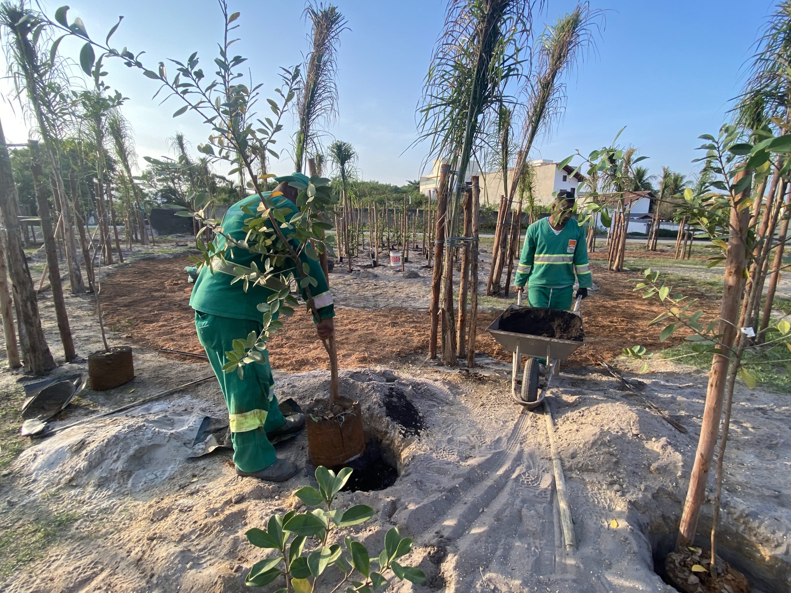 Prefeitura de Niterói cria pomar urbano em Camboinhas