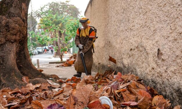 Clin utiliza equipamentos especiais para a remoção de folhas de árvores em Niterói