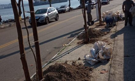 Prefeitura de Niterói realiza plantio de 130 árvores na Avenida Litorânea