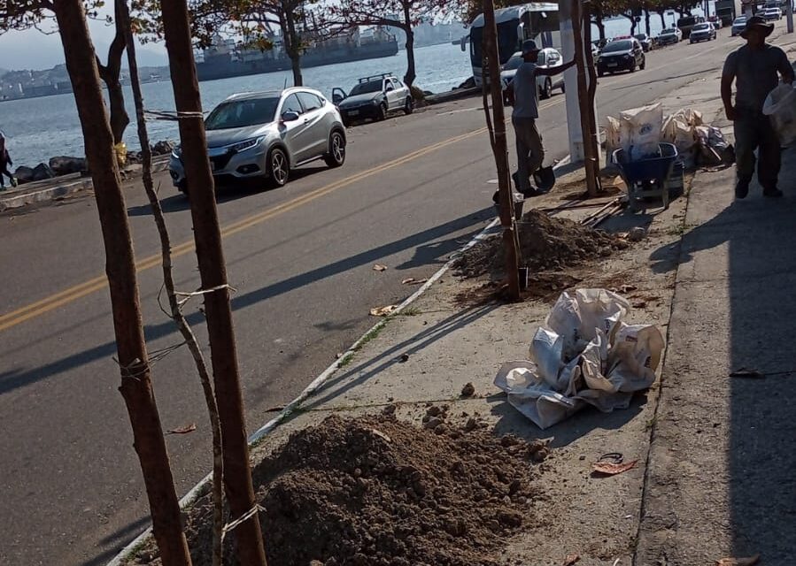 Prefeitura de Niterói realiza plantio de 130 árvores na Avenida Litorânea