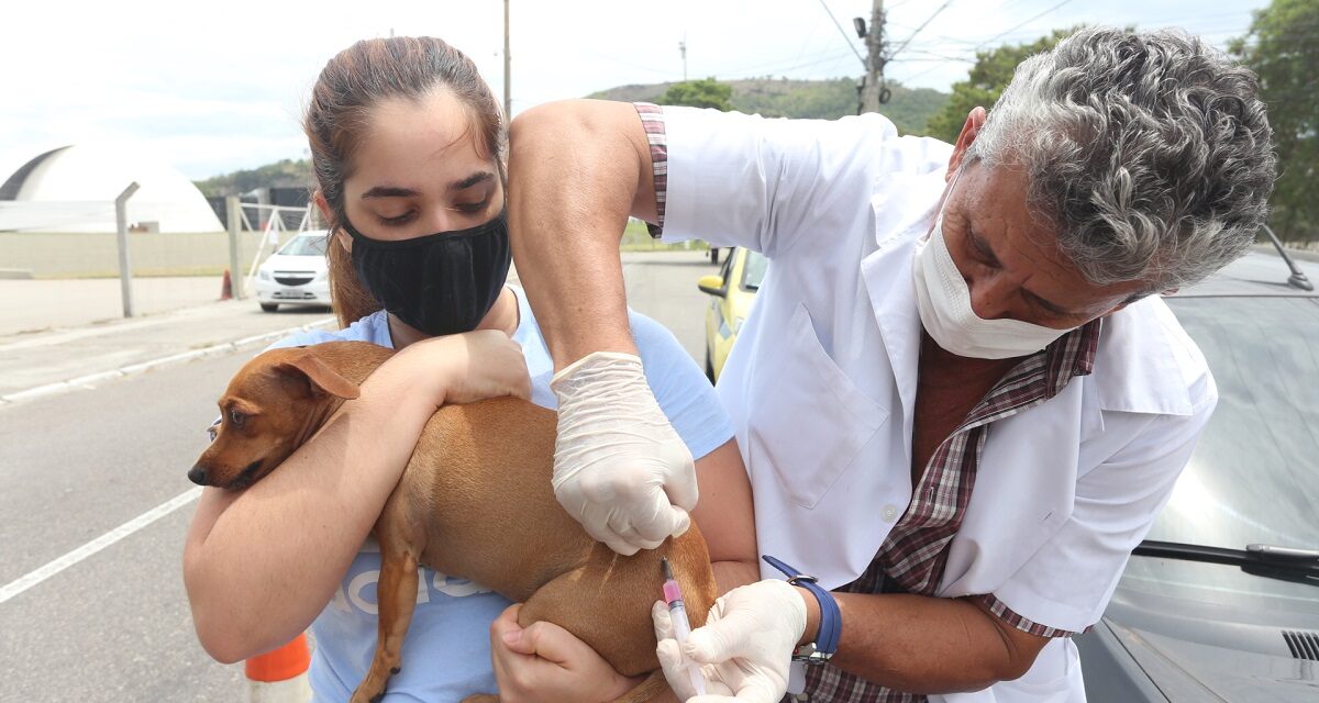 Niterói inicia Campanha de Vacinação Antirrábica Animal no próximo dia 24