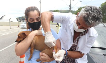 Niterói inicia Campanha de Vacinação Antirrábica Animal no próximo dia 24