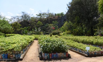 Clin amplia número de projetos sustentáveis