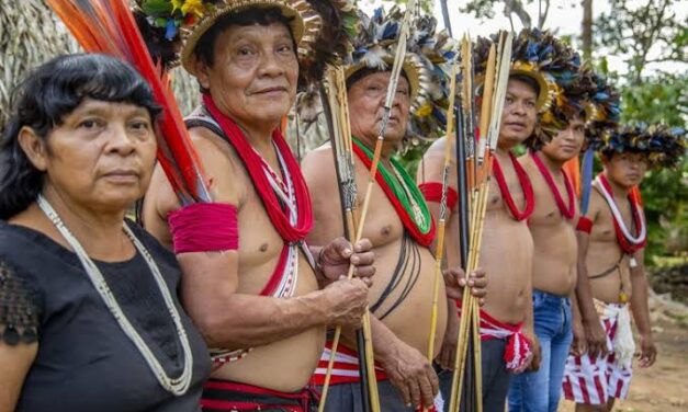 Niterói participa de reunião sobre calamidade pública dos Yanomamis