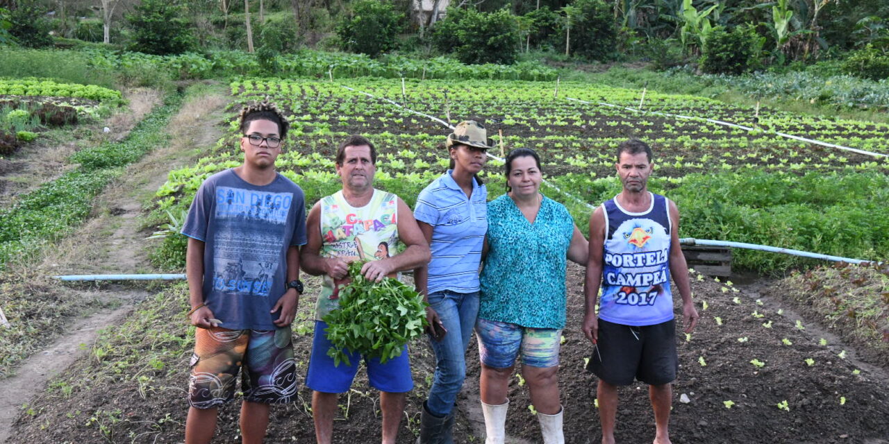 Parque Rural recebe feira agroecológica do Muriqui