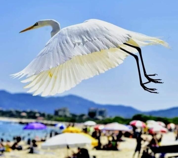 Barraca da Chiquita recebe exposição do fotógrafo Carlos Papacena