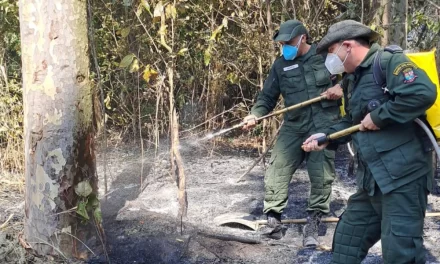 Guarda Ambiental de Niterói controla incêndio no Parque da Cidade