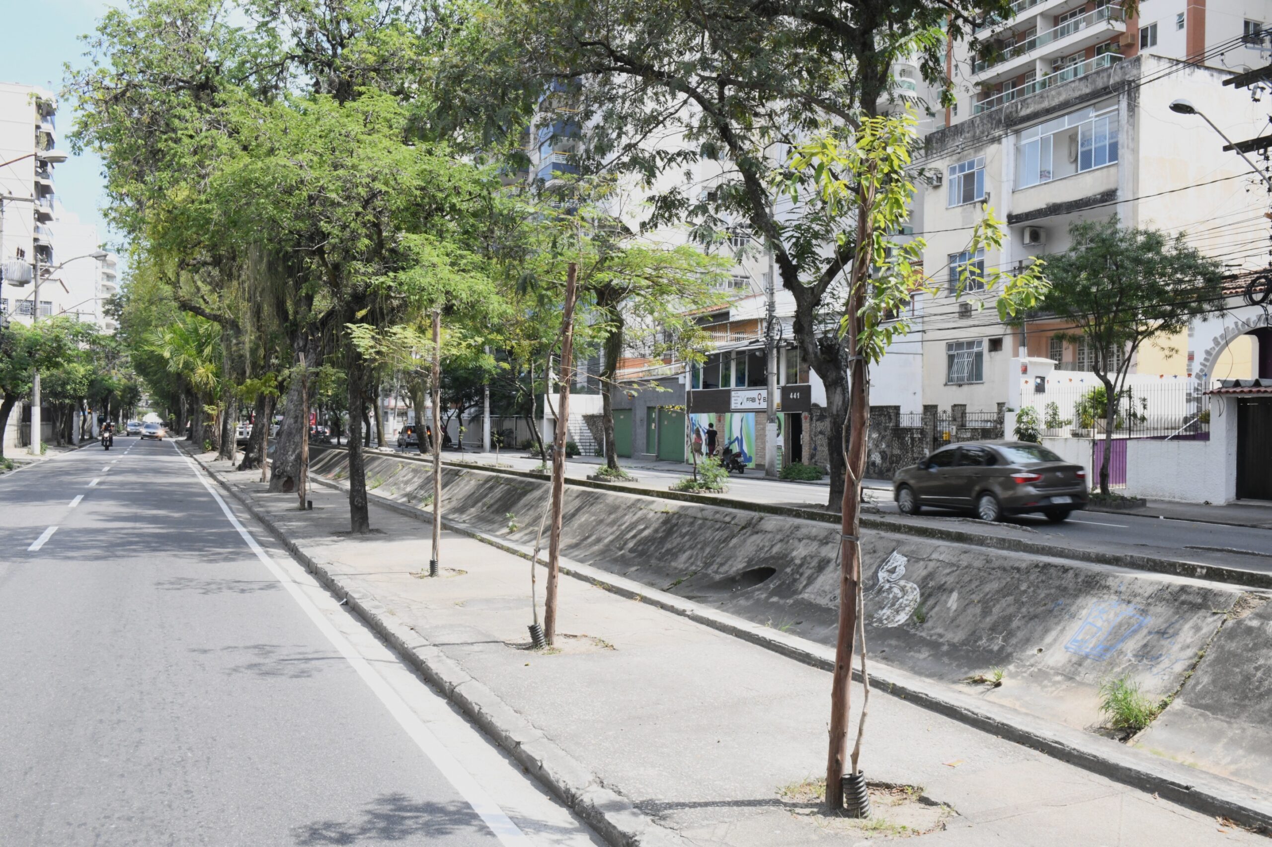 Projeto Arboribus mapeia e registra a flora de Niterói