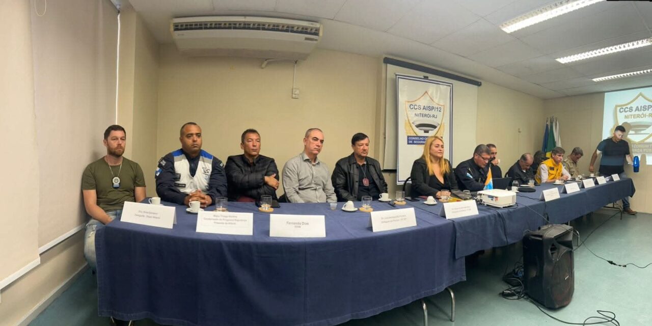 Renata Cardoso assume presidência do Conselho de Segurança