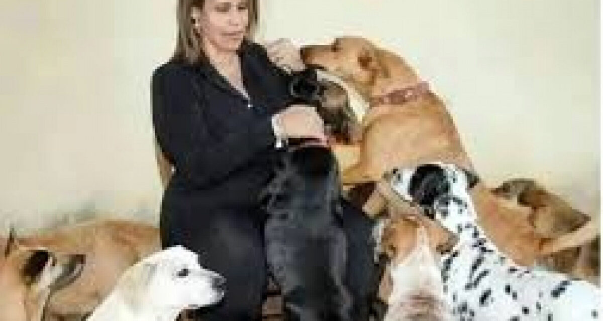 Sindicato faz apelo humanitário em favor da jornalista Patrícia Nunes