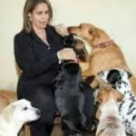 Sindicato faz apelo humanitário em favor da jornalista Patrícia Nunes