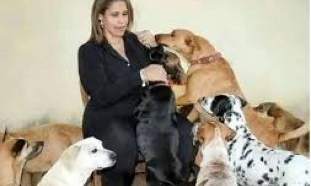 Sindicato faz apelo humanitário em favor da jornalista Patrícia Nunes