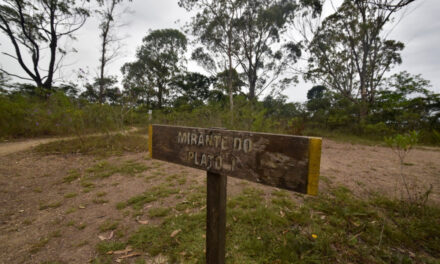 Niterói Ecotur Sem Barreiras será na trilha dos Platôs