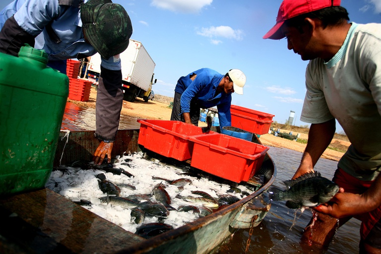 Encontro Estadual dos Povos da Pesca Artesanal reúne lideranças em Araruama
