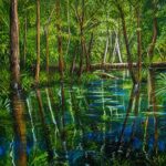 Elza Suzuki abre exposição sobre os encantos da natureza