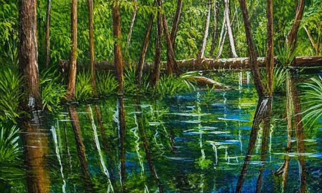 Elza Suzuki abre exposição sobre os encantos da natureza
